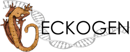 geckogen-logo